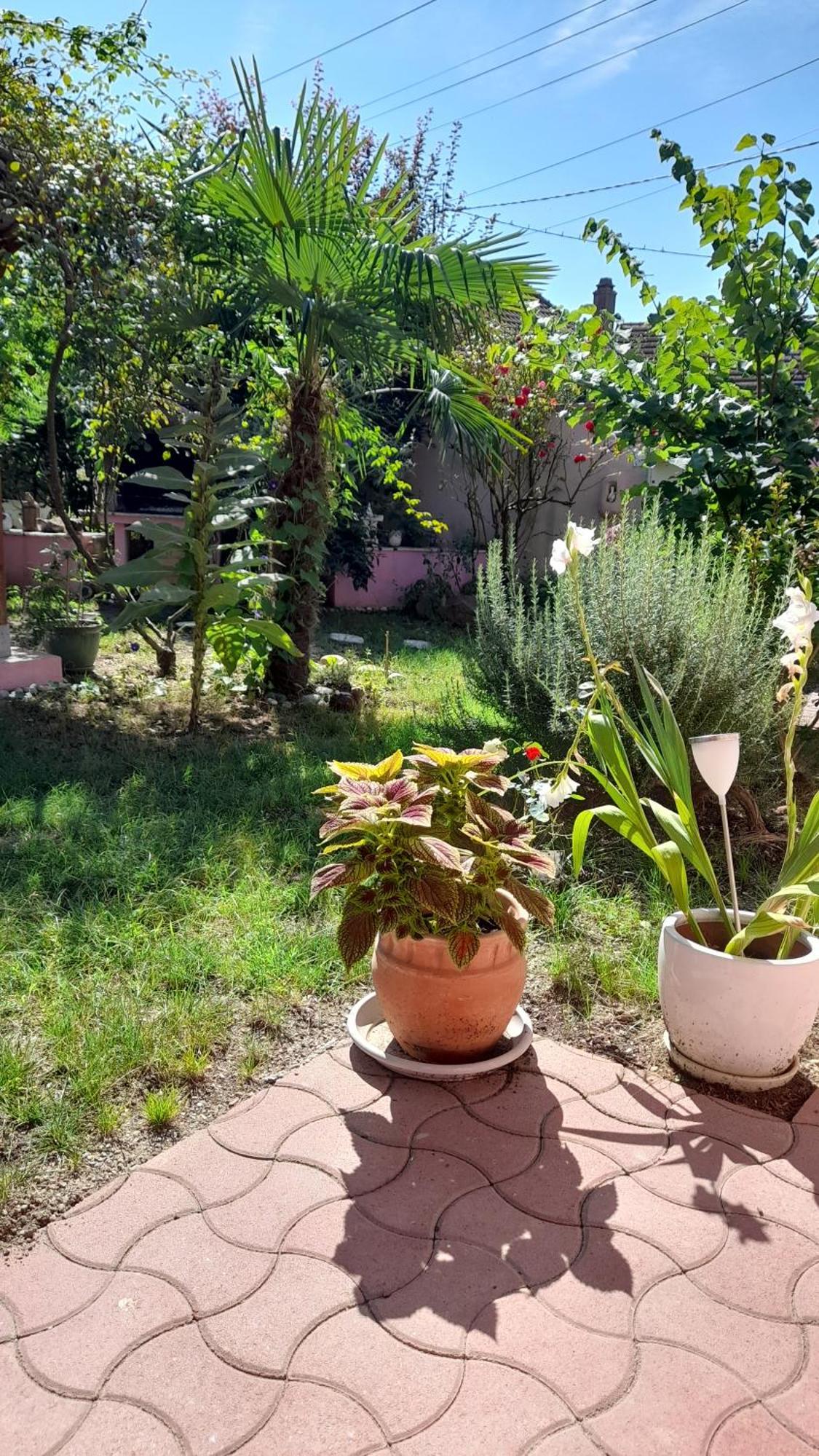 Venus Daire Dessenheim Dış mekan fotoğraf