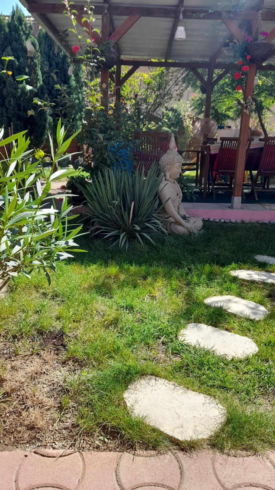 Venus Daire Dessenheim Dış mekan fotoğraf