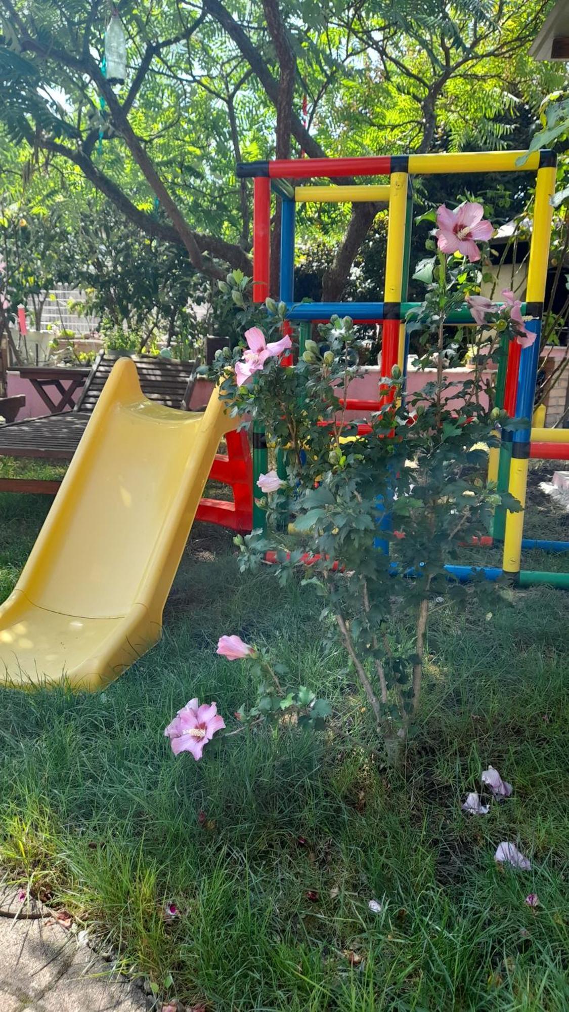 Venus Daire Dessenheim Dış mekan fotoğraf